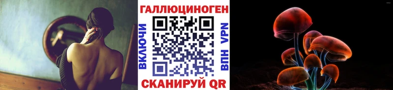 ОМГ ОМГ ссылки  Новороссийск  Галлюциногенные грибы Psilocybine cubensis  наркошоп 